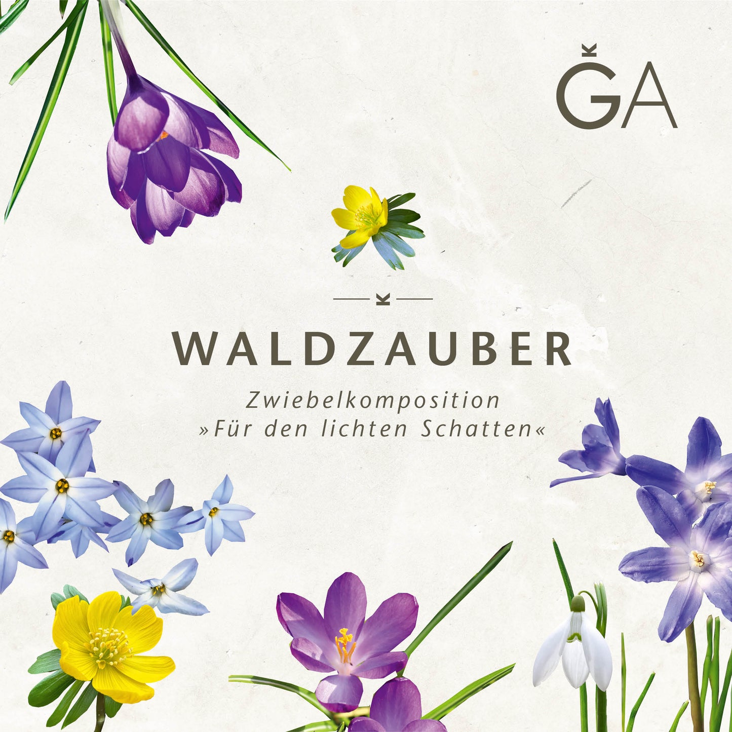 Ein farbenfrohes Arrangement aus illustrierten violetten, gelben, blauen und weißen Frühlingsblumen ziert einen hellen Hintergrund mit der Aufschrift „Waldzauber: Für den lichten Schatten“ von der Königlichen Gartenakademie. Oben rechts ist das stilisierte GA-Logo zu sehen.