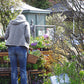 Eine Person mit einem Weidenkorb kauft in einem Gartencenter im Freien Topfpflanzen ein, während der RUNDGANG: Was im Mai im Garten zu tun ist der Königlichen Gartenakademie am Mi., 5.5.2027, von 15:00 bis 16:30 Uhr stattfindet.