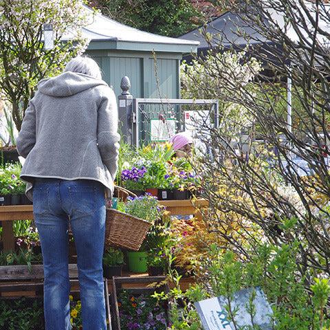 Eine Person mit einem Weidenkorb kauft in einem Gartencenter im Freien Topfpflanzen ein, während der RUNDGANG: Was im Mai im Garten zu tun ist der Königlichen Gartenakademie am Mi., 5.5.2027, von 15:00 bis 16:30 Uhr stattfindet.