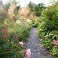 Erleben Sie den Charme eines Cottage Gartens beim "Sa. 24.10.2026 | 13.30-16.30 HALBTAGESKURS Der Cottage Garten: Der Garten der Zukunft" der Königlichen Gartenakademie - verschlungene Wege, üppige Stauden, rosa Rosen und sonnenbeschienenes Grün erwarten Sie!.
