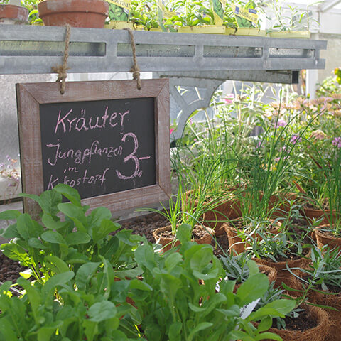 Auf einer Kreidetafel an einem Metallgestell steht Kräuter-Jungpflanzen im Kokostorf 3.- vor den Kräutertöpfen für Mi., 7.4.2027 | 15.00 – 16.30 Uhr RUNDGANG Was im April im Garten zu tun ist.