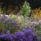 Lassen Sie sich für Ihren Garten im September inspirieren! Nehmen Sie an der Veranstaltung "Mi. 02.09.2026 | 15.00 - 16.30 Uhr RUNDGANG Was zu tun ist im Garten im September" der Königlichen Gartenakademie - perfekt für jeden Gartenkurs oder Gartenschule.