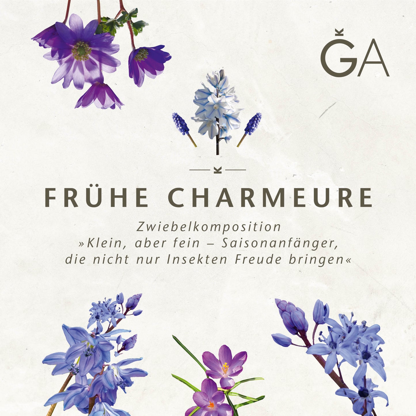 Eine Blumenkomposition aus violetten und blauen Frühlingsblumen sowie frühjahrsblühenden Zwiebelgewächsen umrahmt den deutschen Text: „FRÜHE CHARMEURE“. Darunter begleiten kleine Blüten eine kurze Beschreibung: „Klein, aber fein – Saisonanfänger von Königliche Gartenakademie.“.