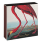Die Archivist Gallery 'Der Amerikanische Flamingo' Quadratische Streichhölzer zeigen eine leuchtend rosa Flamingo-Illustration mit Wasser und entfernten Vögeln - ideal als charmantes Geschenk.