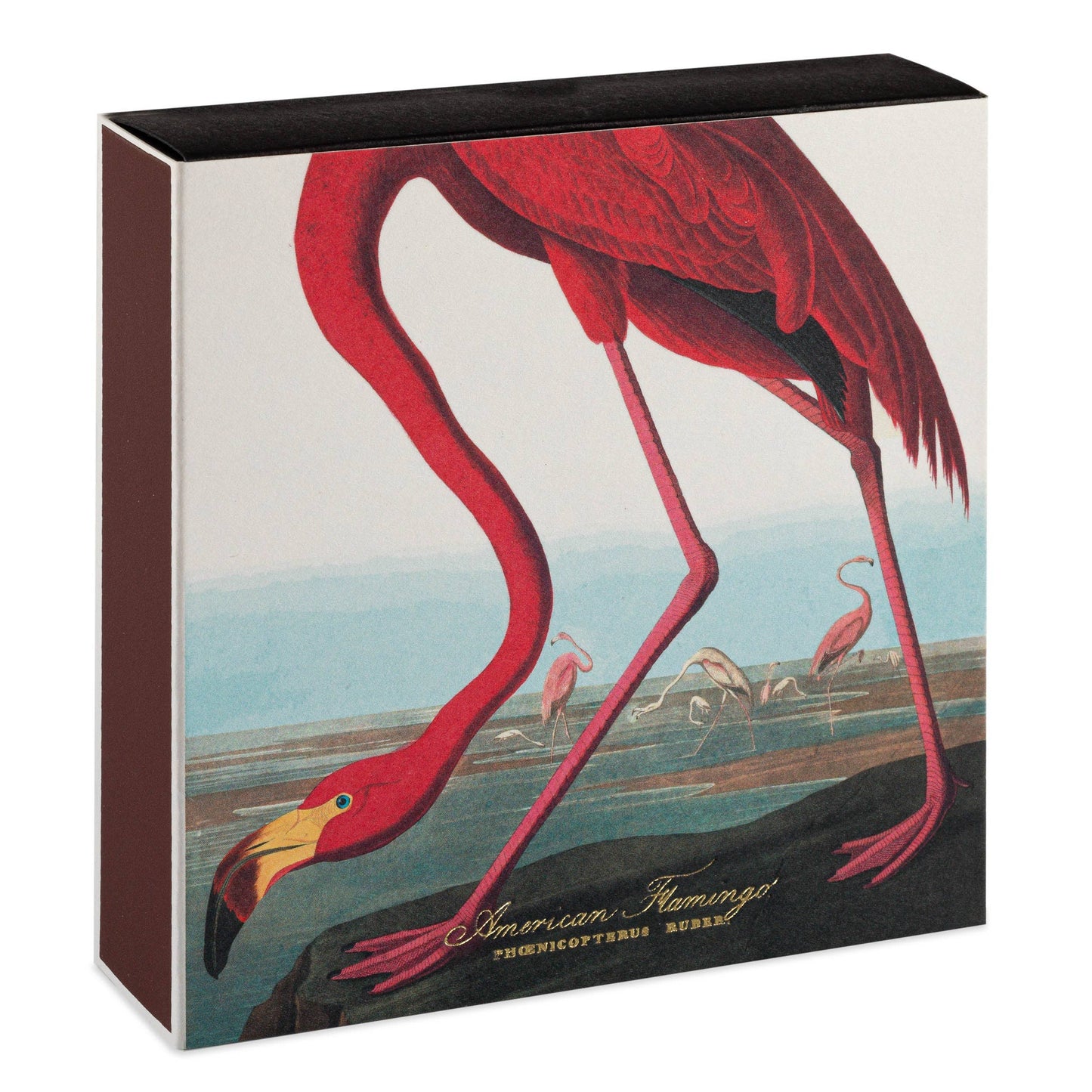 Die Archivist Gallery 'Der Amerikanische Flamingo' Quadratische Streichhölzer zeigen eine leuchtend rosa Flamingo-Illustration mit Wasser und entfernten Vögeln - ideal als charmantes Geschenk.