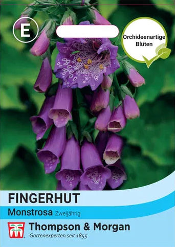 Eine Saatgutpackung von Thompson und Morgan | Fingerhut 'Monstrosa' zeigt violette Fingerhutblüten (Digitalis purpurea) auf grünem Blattgrund, mit einem Text über diese seltene Gartenpflanze und die Marke Thompson und Morgan.