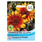 Ein Samenpaket von Thompson und Morgan Sonnenauge 'Burning Hearts' mit leuchtend orange-roten, mehrjährigen Blüten. Das Etikett enthält deutsche und englische Angaben zu dieser nektarreichen Staude von Thompson & Morgan.