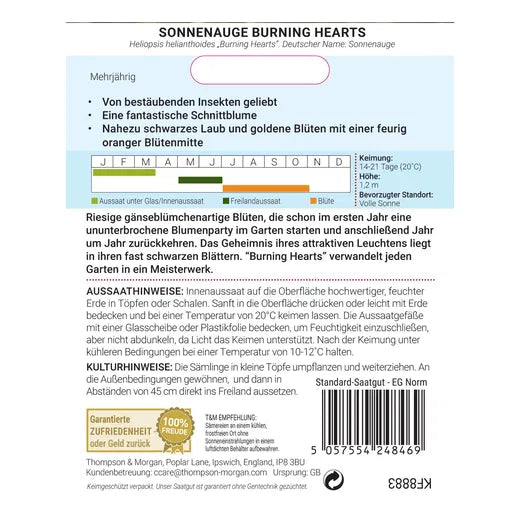 Thompson & Morgan | Sonnenauge 'Burning Hearts' Saatgut. Enthält Infos auf Deutsch zu Pflanzung, Blüte, Pflege, Pflanzkalender, Sonnenblumen-Icons, Zufriedenheitsgarantie und recycelbarer Verpackung. Marke: Thompson und Morgan.
