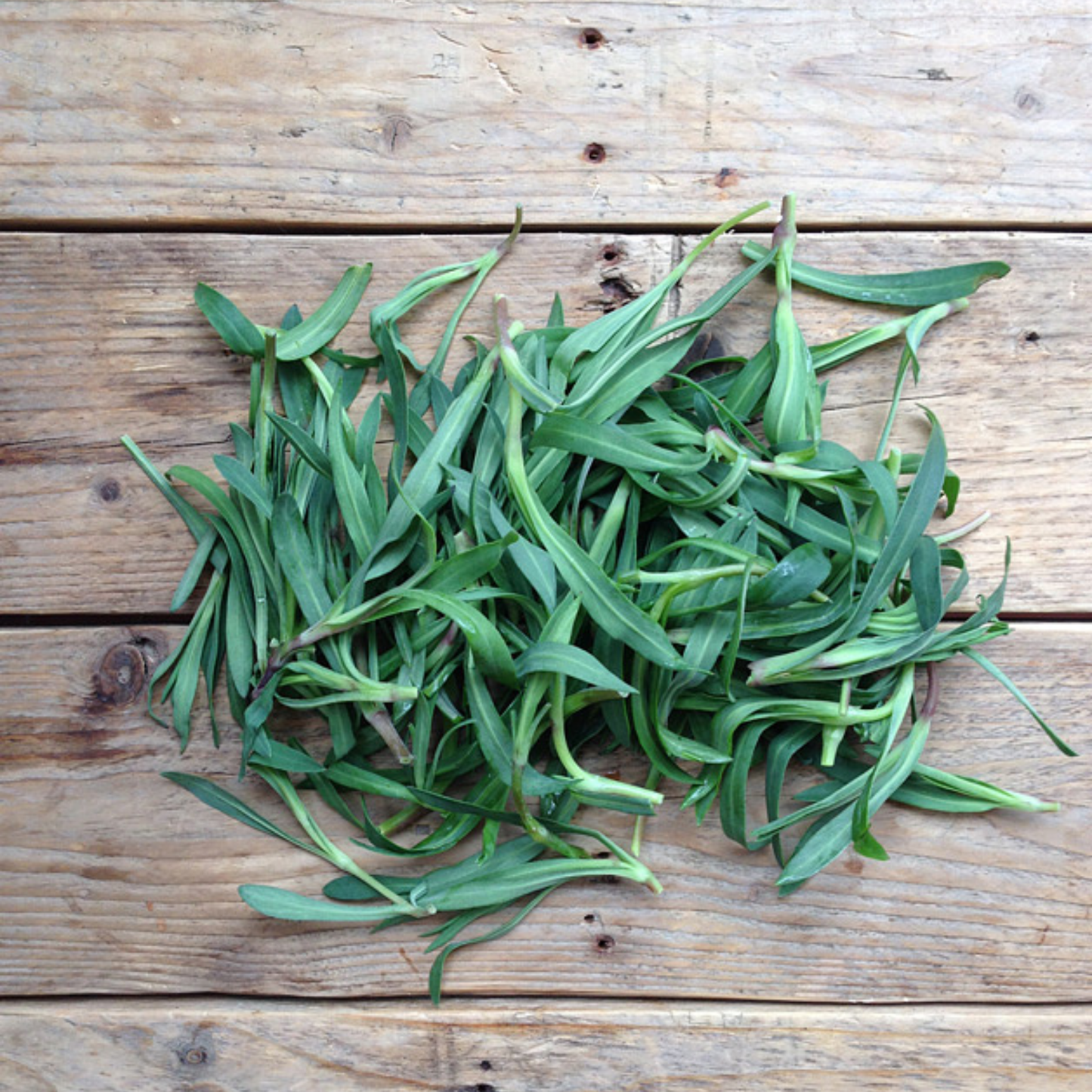 Ein Haufen frischer, grüner Blätter ruht auf rustikalem Holz - die ideale Inspiration für den Anbau eigener gentechnikfreier Kräuter auf dem Balkon mit der Piccolo Seeds | Wildkräuter Kollektion "Foraging Wild Herbs" von Piccolo Seeds.