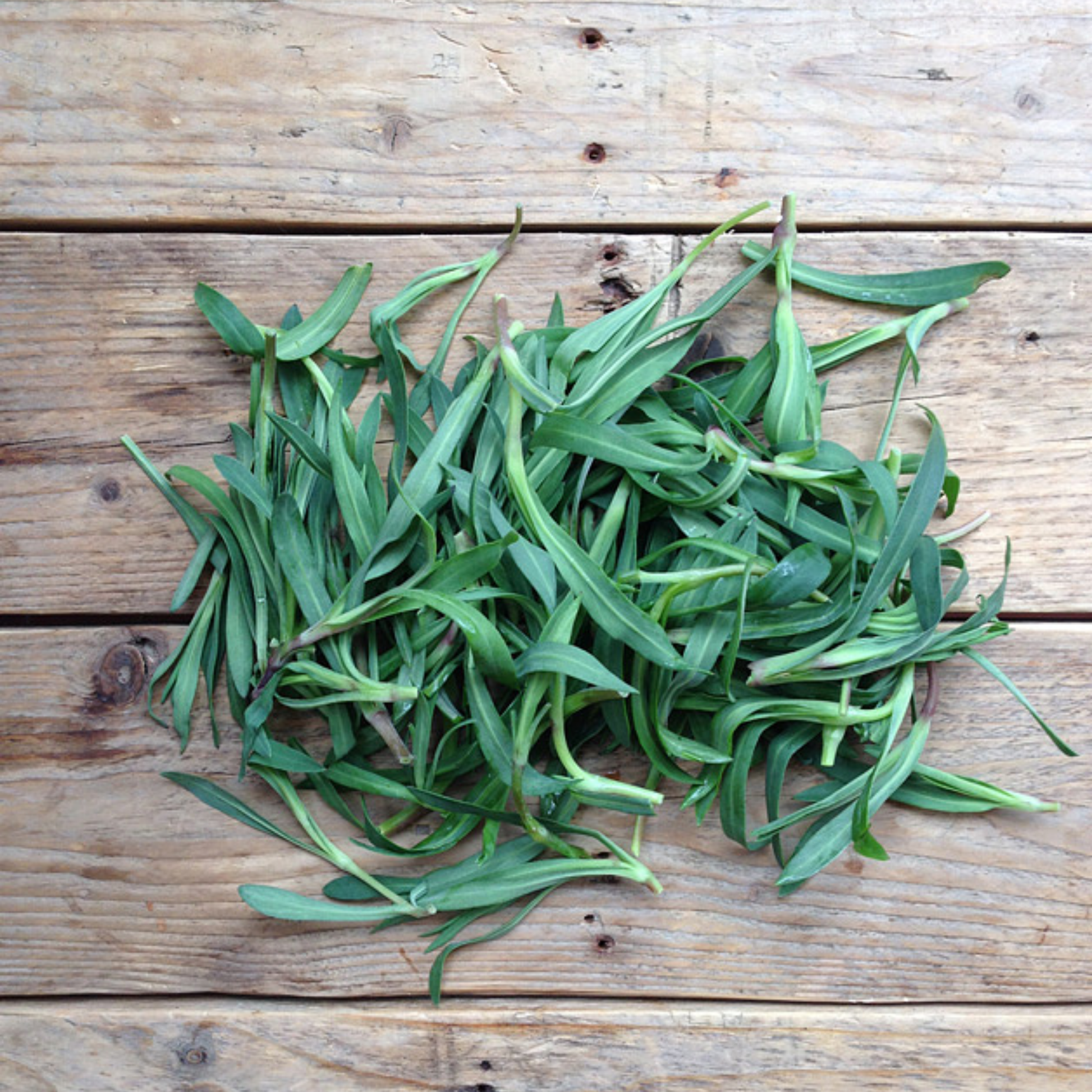 Ein Haufen frischer, grüner Blätter ruht auf rustikalem Holz - die ideale Inspiration für den Anbau eigener gentechnikfreier Kräuter auf dem Balkon mit der Piccolo Seeds | Wildkräuter Kollektion "Foraging Wild Herbs" von Piccolo Seeds.