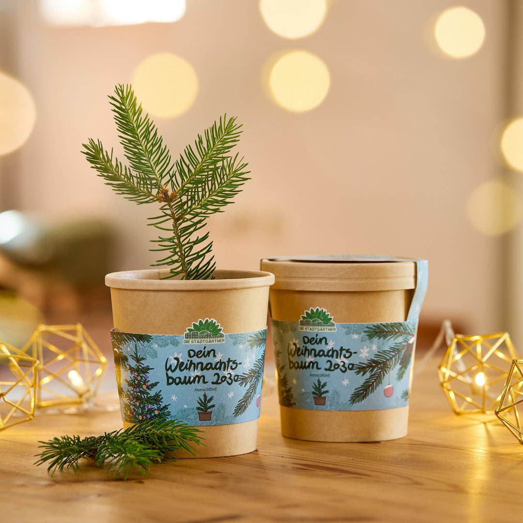 Zwei kleine Stadtgärtner-Töpfe aus der Kollektion „Anzuchtset | 2030 Weihnachtsbaum aus dem Becher“, jeweils mit festlichen Etiketten verziert, stehen auf einem Holztisch; in einem Topf wächst ein winziger Tannenbaum, der aus Fichtensaatgut gekeimt ist. Warme Lichterketten und Tannenzweige im Hintergrund sorgen für eine gemütliche Atmosphäre – damit ist dieses Set die perfekte Geschenkidee zu Weihnachten, um festliche Stimmung ins Haus zu bringen.