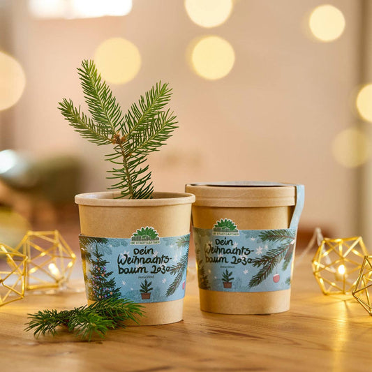 Zwei kleine Stadtgärtner-Töpfe aus der Kollektion „Anzuchtset | 2030 Weihnachtsbaum aus dem Becher“, jeweils mit festlichen Etiketten verziert, stehen auf einem Holztisch; in einem Topf wächst ein winziger Tannenbaum, der aus Fichtensaatgut gekeimt ist. Warme Lichterketten und Tannenzweige im Hintergrund sorgen für eine gemütliche Atmosphäre – damit ist dieses Set die perfekte Geschenkidee zu Weihnachten, um festliche Stimmung ins Haus zu bringen.