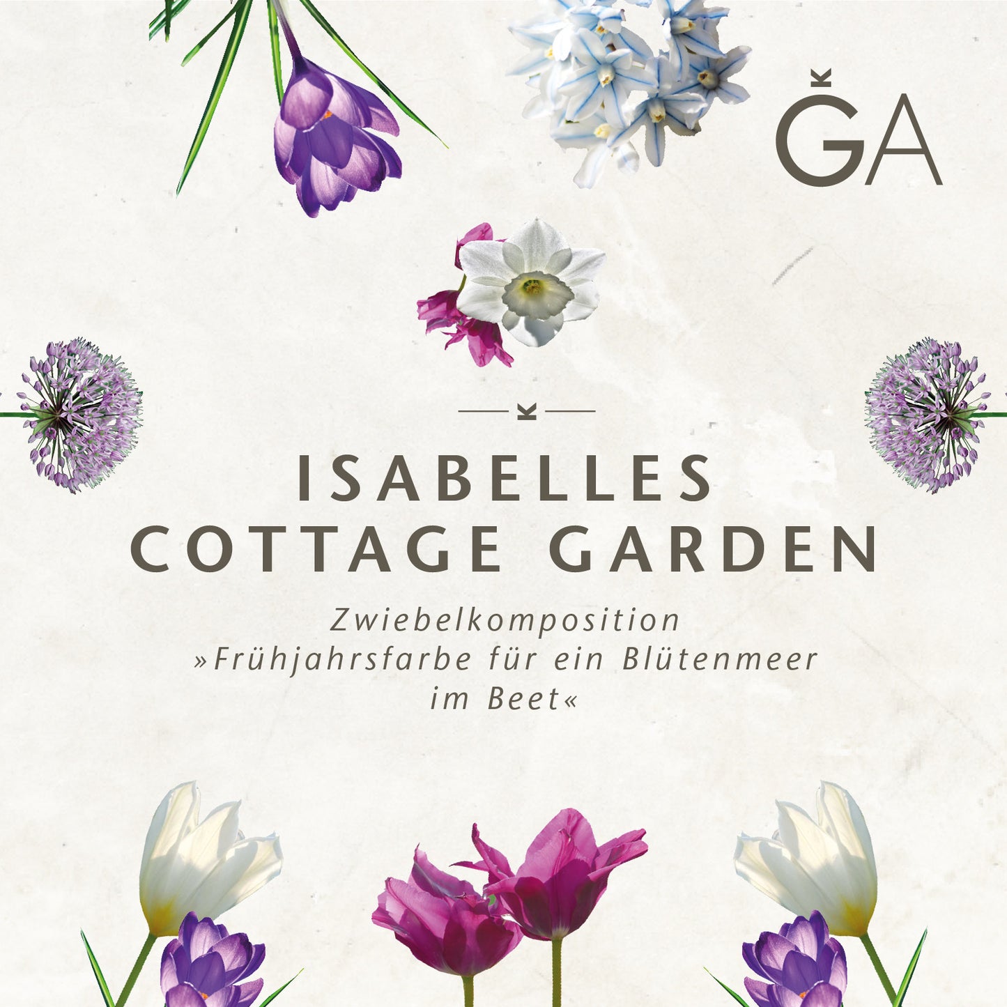 Ein Poster mit Blumenmotiv zeigt Illustrationen von Frühlingsblumen und den Text: „Isabelles Cottage Garten: Frühjahrsfarben für ein Blütenmeer im Beet“ von der Königlichen Gartenakademie, auf hellem Hintergrund.