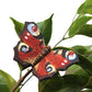 Der Wildlife Garden | 'Schmetterling Tagpfauenauge' Magnet aus handgeschnitztem Holz zeigt rote Flügel mit augenähnlichen Mustern, die auf einem grünen Zweig hocken - ein auffälliger Akzent für jede Wildlife Garden-Ausstellung.