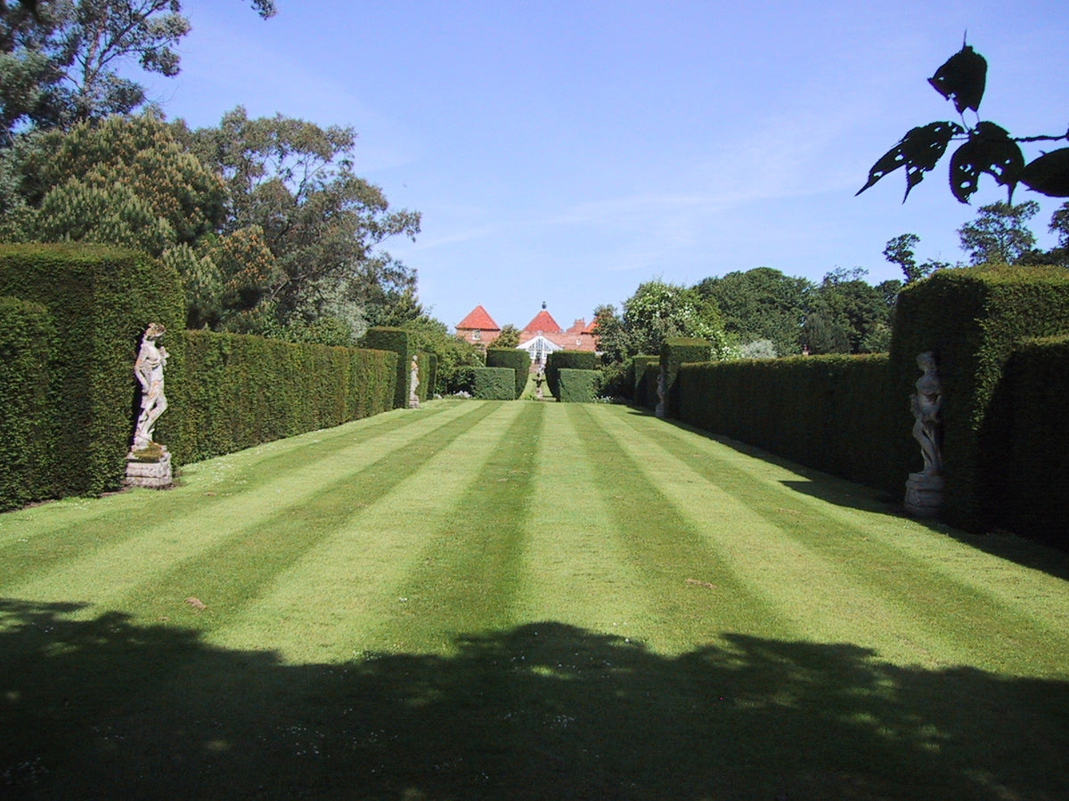 Ein langer, gestreifter Traumrasen für den Workshop der Königlichen Gartenakademie Sa., 6.3.2027 | 10.00 – 12.00 Uhr WORKSHOP Haben Sie schon Rasen oder immer noch Gras?, flankiert von hohen Hecken und Steinstatuen.
