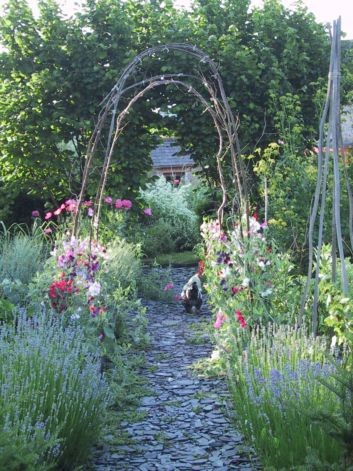 Ein Steinweg führt unter einem rustikalen Astbogen hindurch in einen blühenden Cottage-Garten – Schauplatz unseres Halbtageskurses am Samstag, 27.2.2027 | 14.00 – 17.00 Uhr: Der Cottage-Garten: Der Garten der Zukunft.