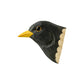The Wildlife Garden | 'Amsel' Magnet aus handgeschnitztem Holz zeigt eine Amsel mit gelbem Schnabel, schwarzen Federn, weißem Halsfleck und glänzendem schwarzem Auge, kunstvoll geschnitzt und bemalt auf weißem Hintergrund.