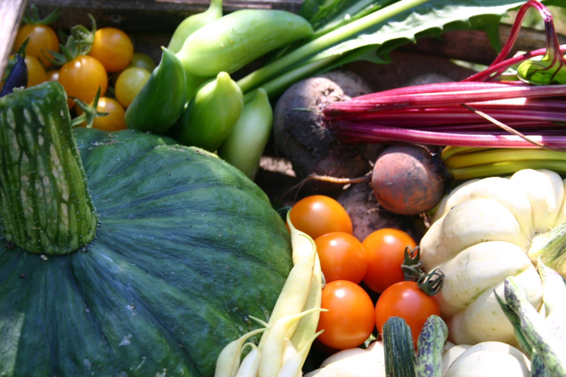 Entdecken Sie eine Reihe einzigartiger Gemüsesorten - grüne/gelbe/weiße Kürbisse, orange/gelbe Tomaten, Rote Beete, Paprika und grüne Bohnen -, die beim Workshop "Ausgefallene Gemüsearten" der Königlichen Gartenakademie am Fr., 15.05.2026, 10-12 Uhr wunderschön präsentiert werden.