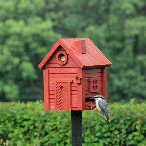 Ein kleiner Vogel sitzt am Eingang des Wildlife Garden Nistkasten & Futterhaus in einem stilvollen Design | Rote Erde, montiert auf einem Pfosten mit grünen Sträuchern und Bäumen im verschwommenen Hintergrund.