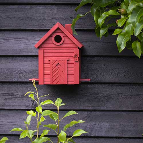 Der Nistkasten & Futterhaus in einem stilvollen Design | Red Earth von Wildlife Garden ist an einer dunklen Holzwand angebracht, wobei grüne, belaubte Zweige teilweise auf der linken und oberen rechten Seite des Bildes zu sehen sind.