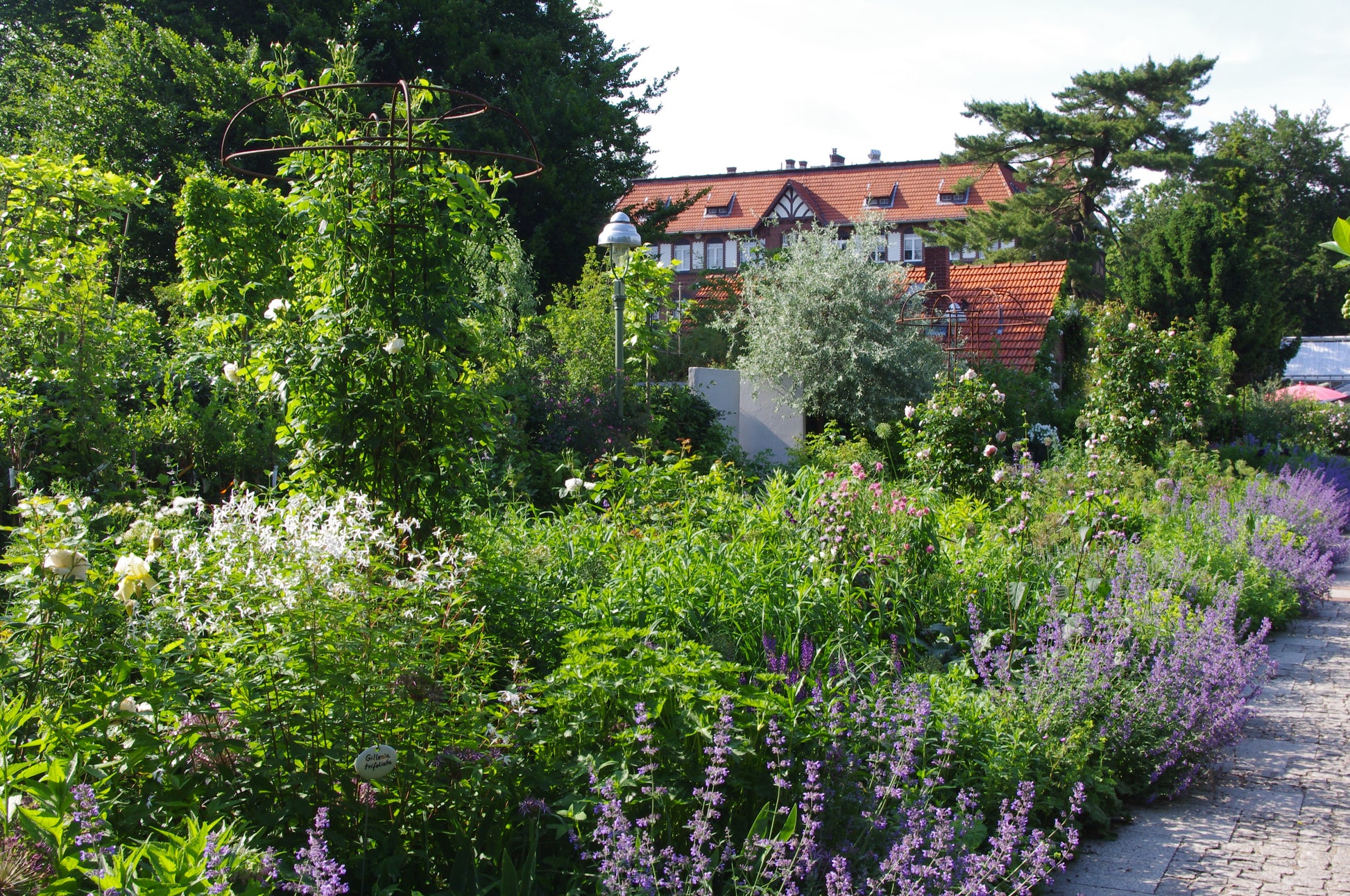 Eine lebendige gemischte Beeteinfassung aus Blumen und Grünpflanzen schmückt einen Steinweg, hinter dem sich ein rotgedecktes Haus befindet, wie in "Do. 16.04.2026 | 10.00-13.00 HALBTAGESKURS Der Mixed Border" der Königlichen Gartenakademie.