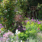 Erleben Sie den bezaubernden Duft im sommerlichen Garten der Königlichen Gartenakademie am Mi. 24.06.2026, 17:00-18:00 Uhr - ein abendlicher Rundgang inmitten von üppigen Blumen, Grünpflanzen und Spalieren im strahlenden Sonnenlicht.