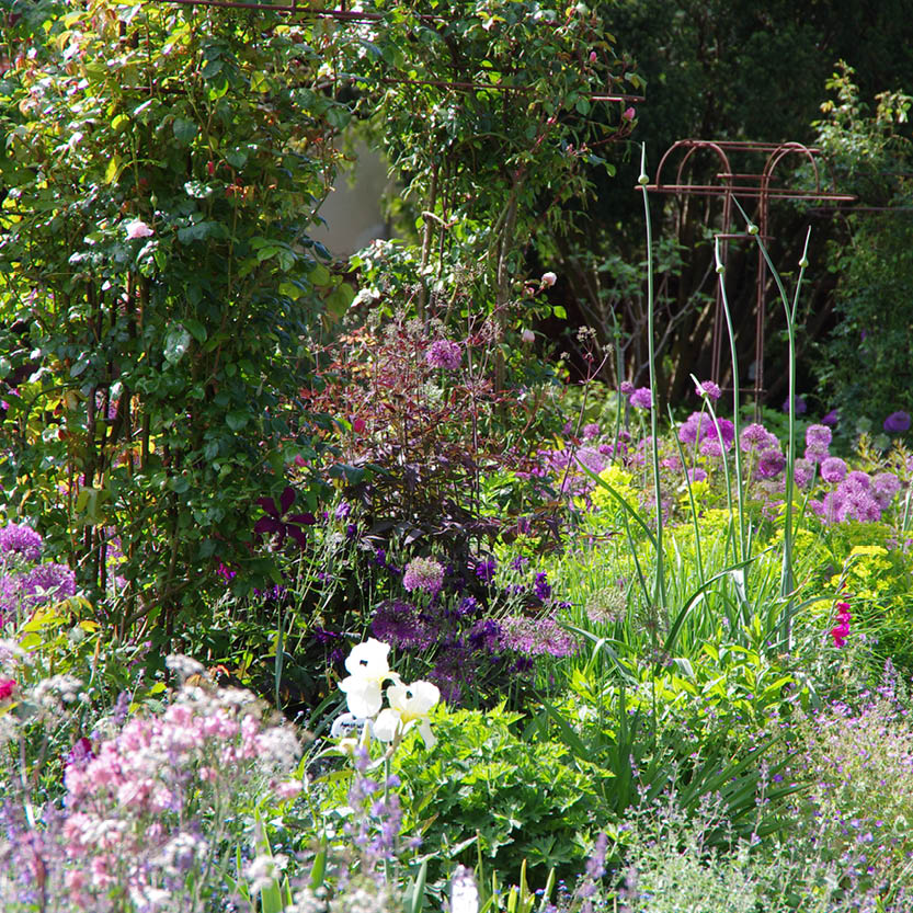 Erleben Sie den bezaubernden Duft im sommerlichen Garten der Königlichen Gartenakademie am Mi. 24.06.2026, 17:00-18:00 Uhr - ein abendlicher Rundgang inmitten von üppigen Blumen, Grünpflanzen und Spalieren im strahlenden Sonnenlicht.