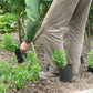 Eine Person, die im Garten arbeitet, während am Mi., 7.4.2027 | 15.00 – 16.30 Uhr der RUNDGANG: Was im April im Garten zu tun ist stattfindet, und dabei eine Topfpflanze in der Hand hält, die bereit ist, in die Erde gesetzt zu werden.