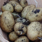 Ein Haufen ungewaschener, frisch geernteter Kartoffeln aus einem Mi., 4.8.2027 | 15.00 – 16.30 Uhr RUNDGANG Was im August im Garten zu tun ist.