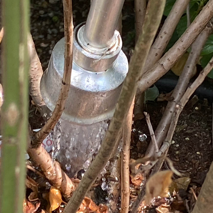 Ein Metallrohr spritzt Wasser auf einen Pflanzensockel - eine Demonstration der Bewässerung, wie sie in "Mi. 01.07.2026 | 15.00-16.30 RUNDGANG Was zu tun ist im Garten im Juli" der Königlichen Gartenakademie.
