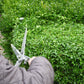 Hände, die eine Metallschere halten und eine grüne Hecke schneiden, während des Kurses Mi., 2.6.2027 | 15.00 – 16.30 Uhr RUNDGANG: Was im Juni im Garten zu tun ist an der Königlichen Gartenakademie.