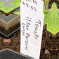 Ein weißes Pflanzenschild für das Projekt Mi. 5.5.2027 | 15.00 – 16.30 RUNDGANG Was zu tun ist im Garten im Mai steckt im Boden, mit der Aufschrift Tomate il San Marzano Lungo und 09.03..