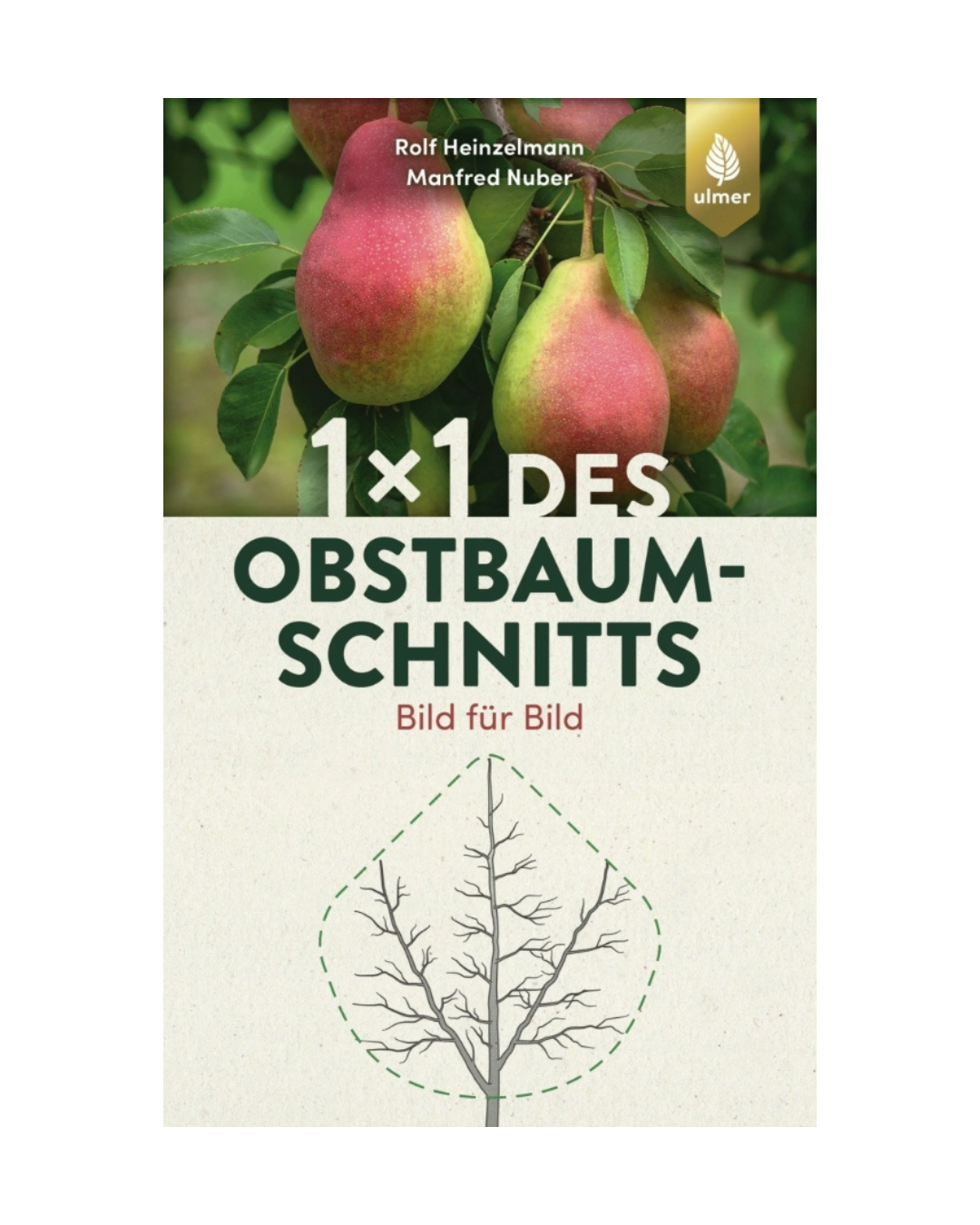 Buchumschlag für "1x1 des Obstbaumschnitts | Für jede Gehölzform das passende Vorgehen" vom Verlag Eugen Ulmer: oben reife Birnen an einem Baum, unten ein einfaches Diagramm der abgeschnittenen Äste. Die Namen der Autoren sind oben angegeben.