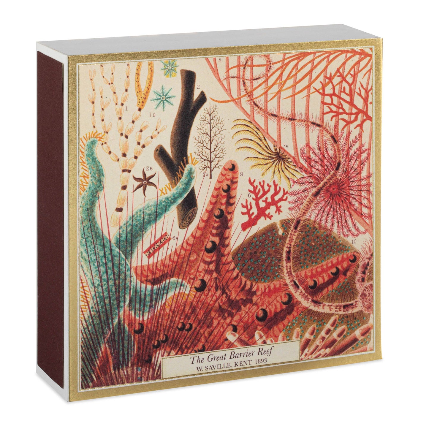 Die quadratischen Streichhölzer 'Great Barrier Reef' von Archivist Gallery präsentieren ein farbenfrohes, vintage-inspiriertes Meeresmotiv - ein perfektes Geschenk für Ozeanliebhaber.
