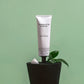 Eine weiße Tube Castelbel Handcreme White Crane Yuzu, Vetiver & Mandarinenduft 60 ml steht aufrecht auf einem schwarzen Topf mit grünen Blättern und einem Klecks Creme vor einem blassgrünen Hintergrund.