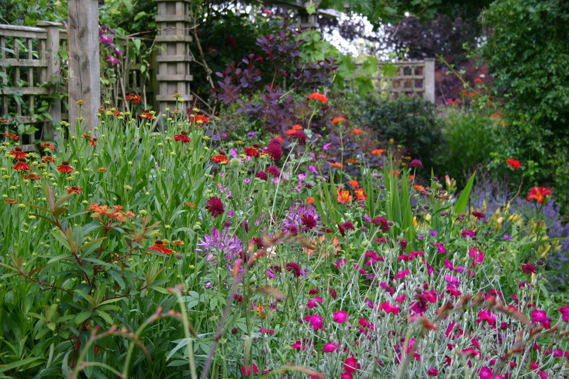 Gestalten Sie Ihr eigenes, farbenfrohes Beet mit fachkundigen Techniken beim ZWEI-TAGES-MASTERCLASS "Gestalten Sie Ihr eigenes Beet" der Königlichen Gartenakademie, Mi. 28.10 - Do. 29.10.2026, 10:00-16:30.
