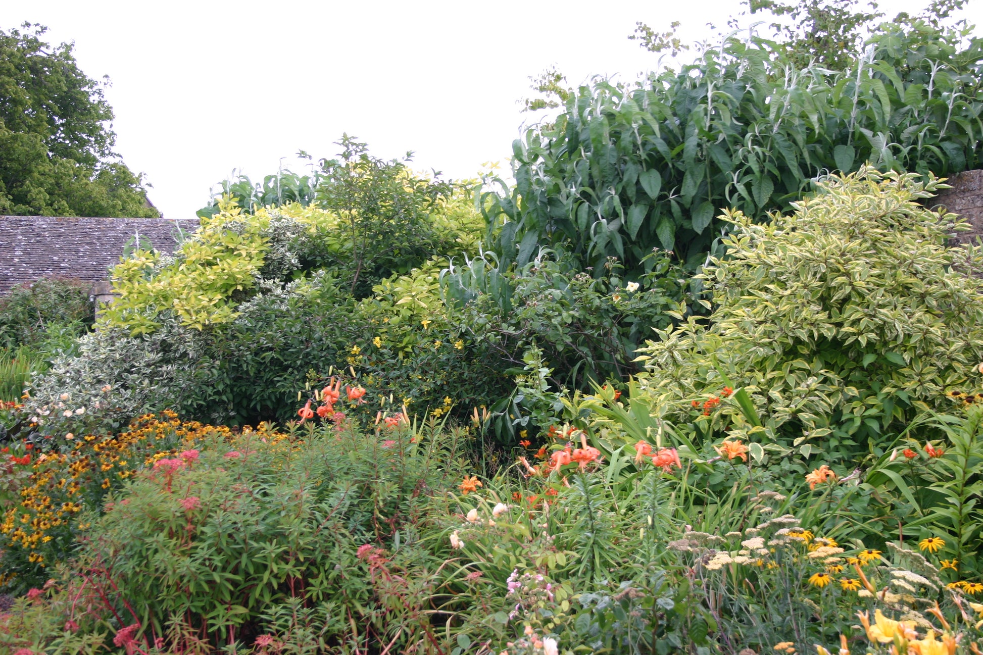Erleben Sie einen üppigen gemischten Beetgarten mit grünen Sträuchern und leuchtend orangen, gelben und roten Blumen beim "Di. 13.10.2026 | 13.30 - 16.30 HALBTAGESKURS Der Mixed Border" der Königlichen Gartenakademie, umgeben von Bäumen und Dächern im Hintergrund.
