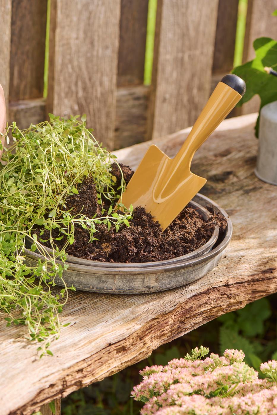 Ein gelber IB Laursen Kompakte Pflanzschaufel 'Clay' sitzt in einem Metalltablett mit Erde und einer grünen Pflanze auf einem rustikalen Holztisch im Freien - eine charmante Ergänzung Ihrer Gartenzubehör-Sammlung.