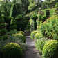 Ein schmaler Schotterweg schlängelt sich durch die Di. 16.2.2027 | 14.30 – 15.30 Uhr AFTERNOON TEA Yorkshires vielfältige Gartenpracht mit kunstvoll geschnittenen Formsträuchern und blühenden Pflanzen, die sich perfekt für den Nachmittagstee eignen.
