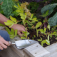 Eine Person bearbeitet mit einer kleinen Kelle ein Hochbeet während des Workshops Gemüseanbau auf dem Hochbeet am 23.2.2027 | 10.00 – 12.00 Uhr an der Königlichen Gartenakademie.