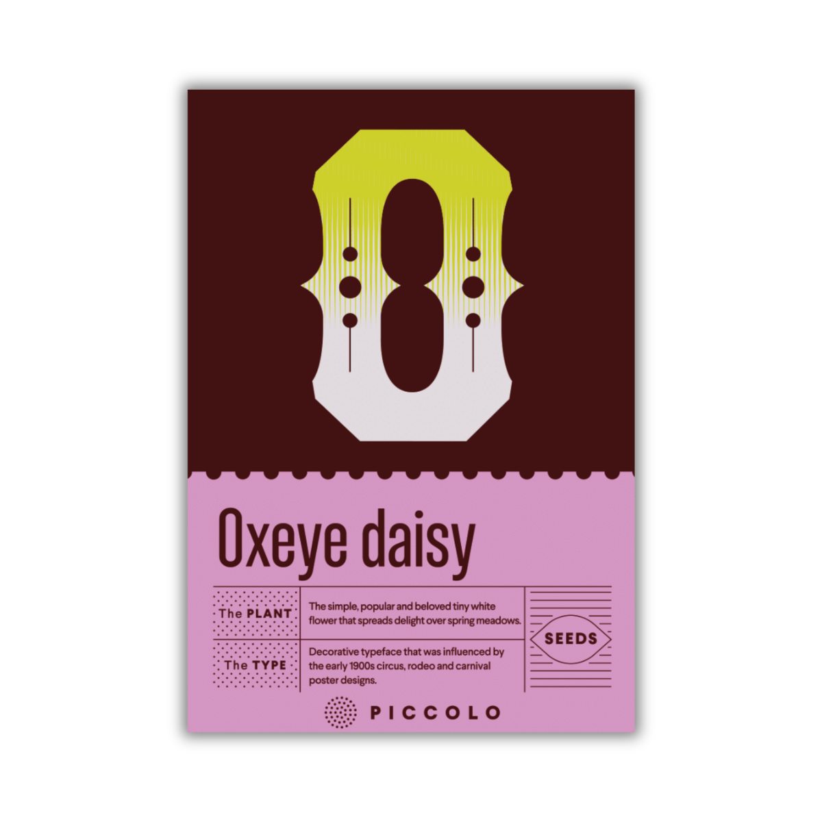 Ein Piccolo Seeds-Paket für 'Oxeye' Magerwiesen-Margerite zeigt ein auffälliges gelbes "O" über dem Namen, mit dekorativen Buchstaben auf kastanienbraunem Hintergrund, Pflanzinformationen und rosa Akzenten am unteren Rand.