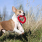 Ein braun-weißer Hund läuft an einem sonnigen Tag durch hohes Gras und trägt das rote LABONI Hundespielzeug Hertha Heart im Maul.