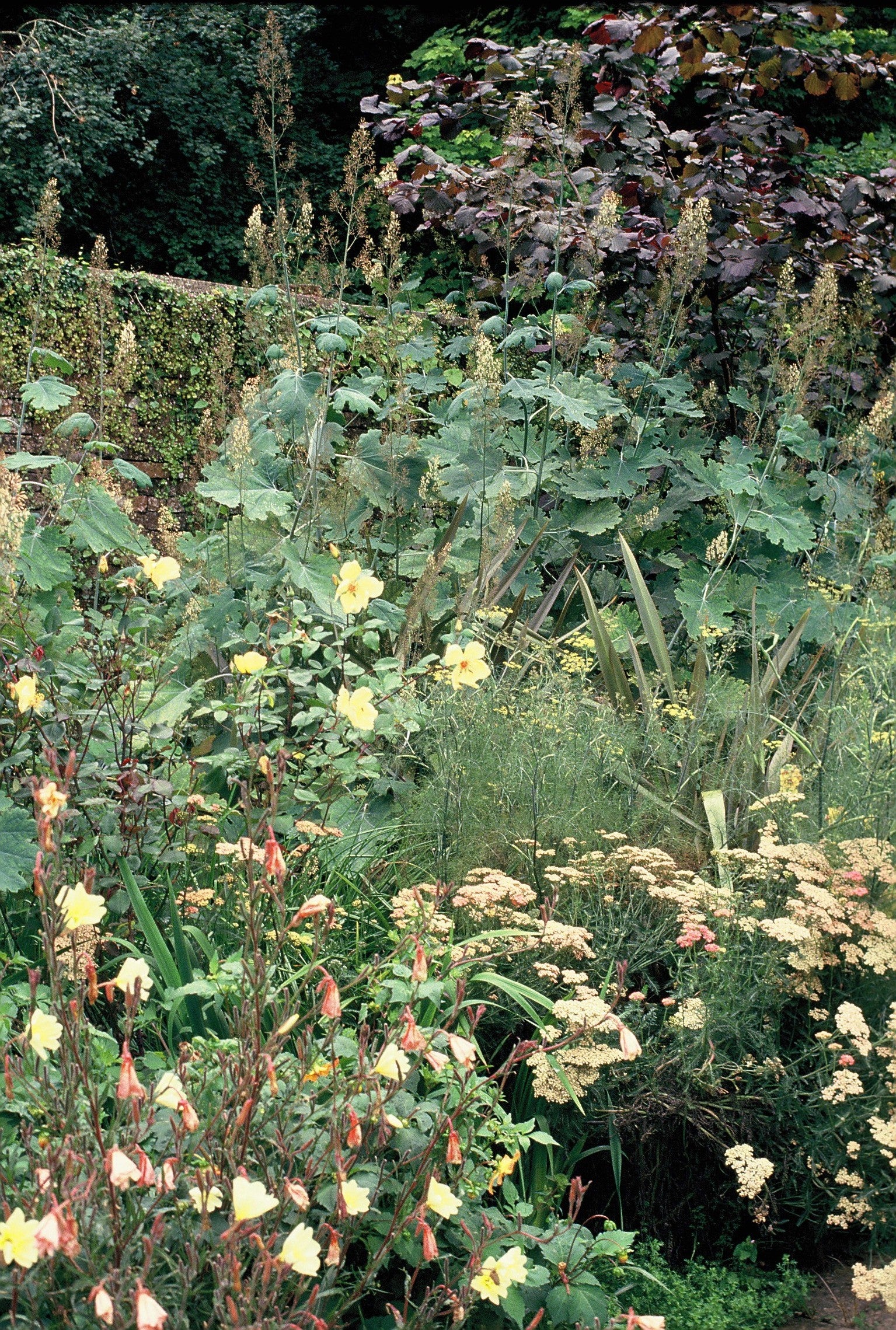 Genießen Sie eine inspirierende Gartenreise oder einen entspannten Afternoon Tea inmitten von üppigem Grün, gelben und zartrosa Blüten beim AFTERNOON TEA Christmas Special der Königlichen Gartenakademie am Di, 08.12.2026 von 14:30-16:00 Uhr.
