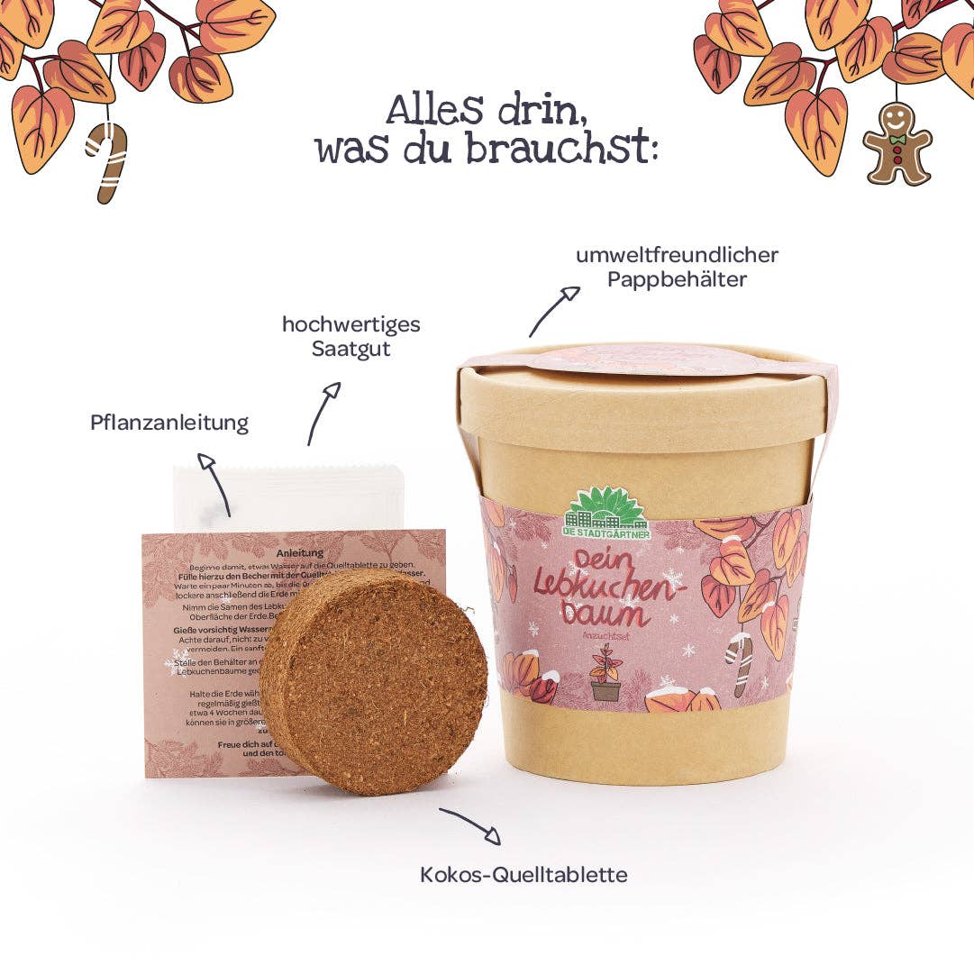 Vor einem weißen Hintergrund, der oben mit illustrierten Blättern verziert ist, präsentiert sich das „Anzuchtset | Lebkuchenbaum aus dem Becher“ der TDJ Stadtgärtner GmbH „Anzuchtset | Lebkuchenbaum aus dem Becher“ besteht aus einem biologisch abbaubaren Becher mit herbstlichem Motiv, einem Samentütchen, einer Kokos-Erdetablette und einer Karte mit Pflanzanleitung – damit ist es die perfekte Geschenkidee für Pflanzenfreunde oder alle, die gerne versuchen möchten, einen Katsurabaum selbst zu ziehen.