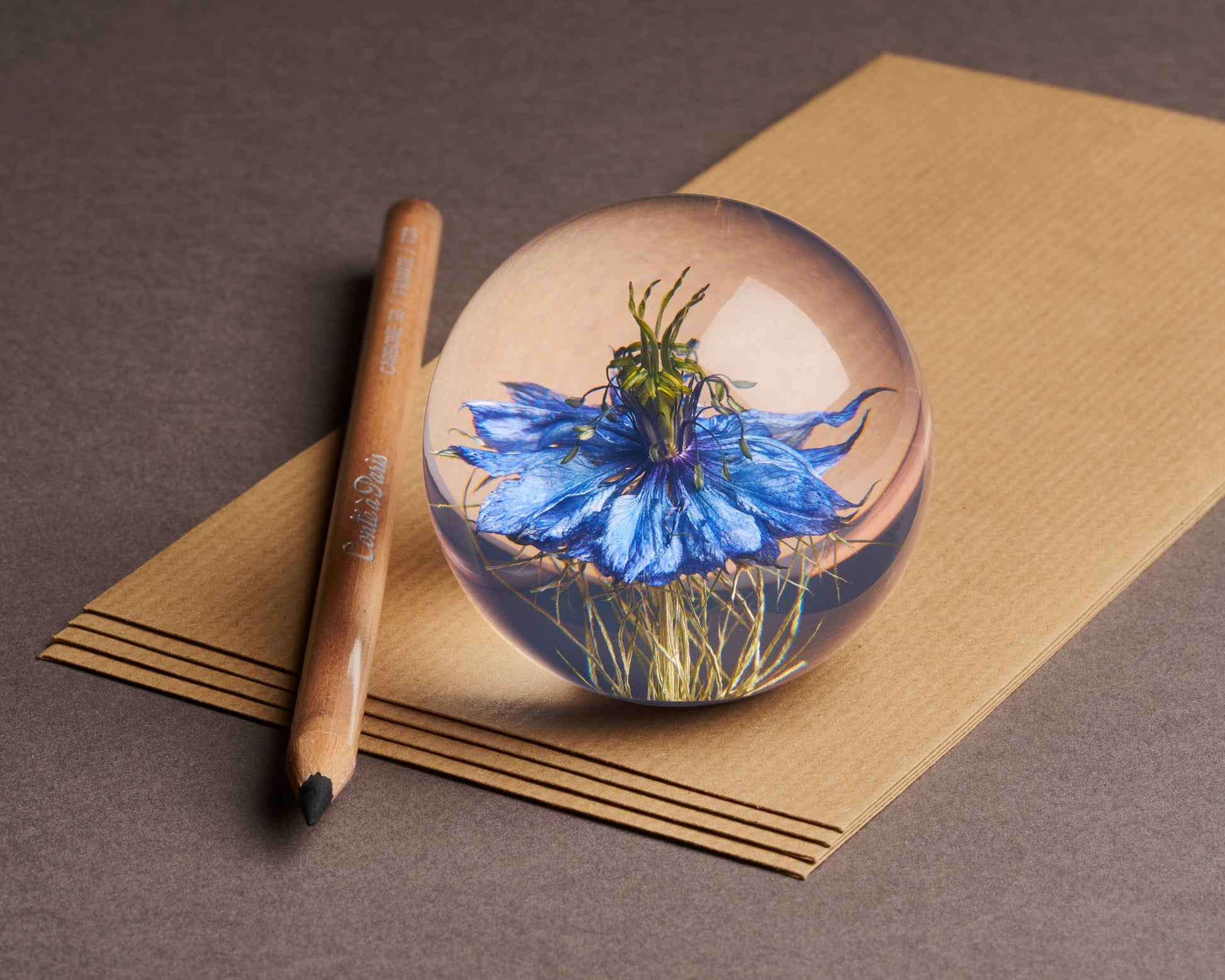 Ein hölzerner Bleistift ruht neben dem Hafod Grange | Briefbeschwerer mit Nigella von Hafod Grange und vergrößert und verzerrt die lebhaften Nigella-Blüten darunter, die alle auf strukturiertem braunem Papier angeordnet sind.