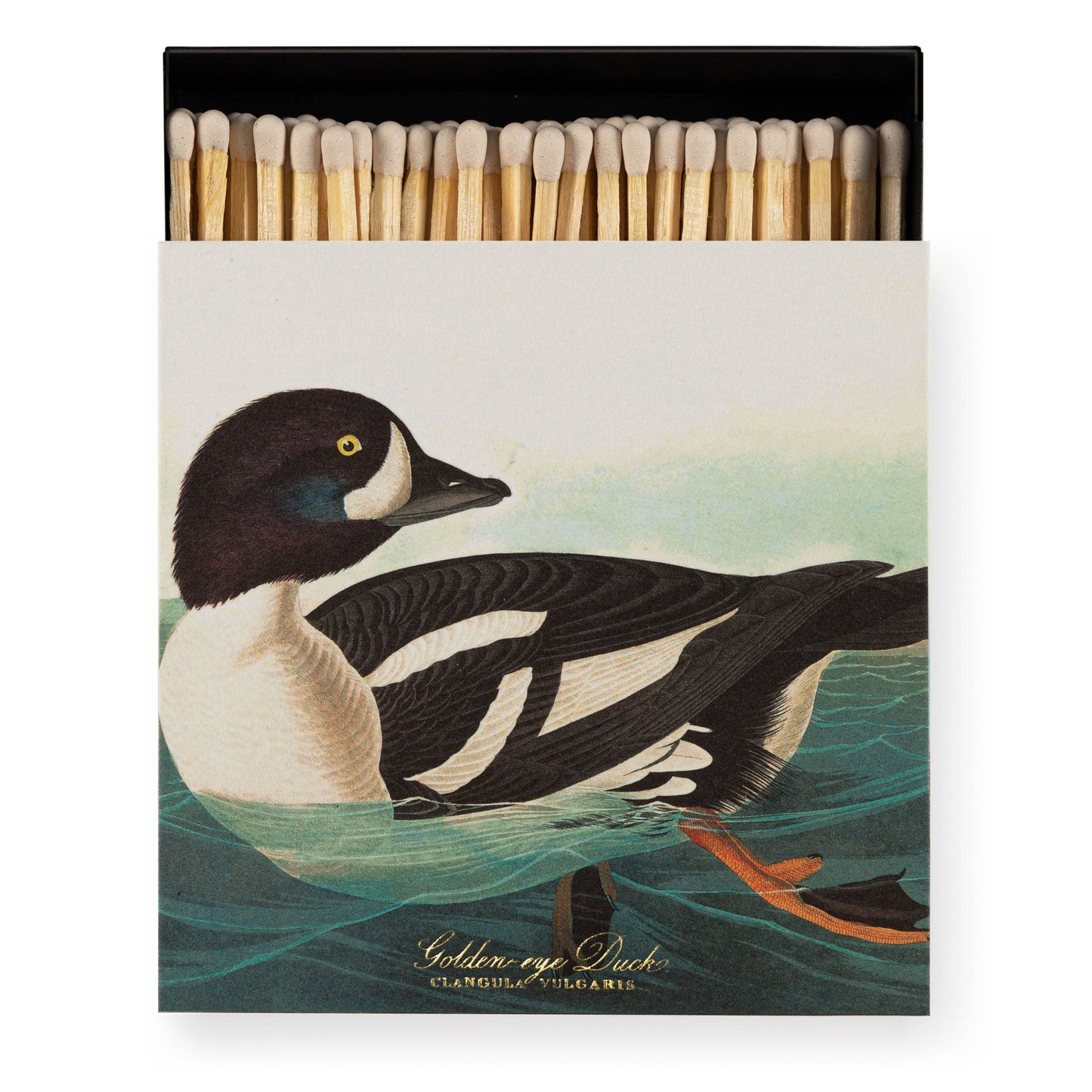 Ein stilvolles Accessoire: Die Archivist Gallery 'The Golden-eye Duck' von Audubon Quadratische Sicherheitsspielzeuge verfügt über Sicherheitsstreichhölzer und ein illustriertes Cover mit einer schwimmenden Schellente.
