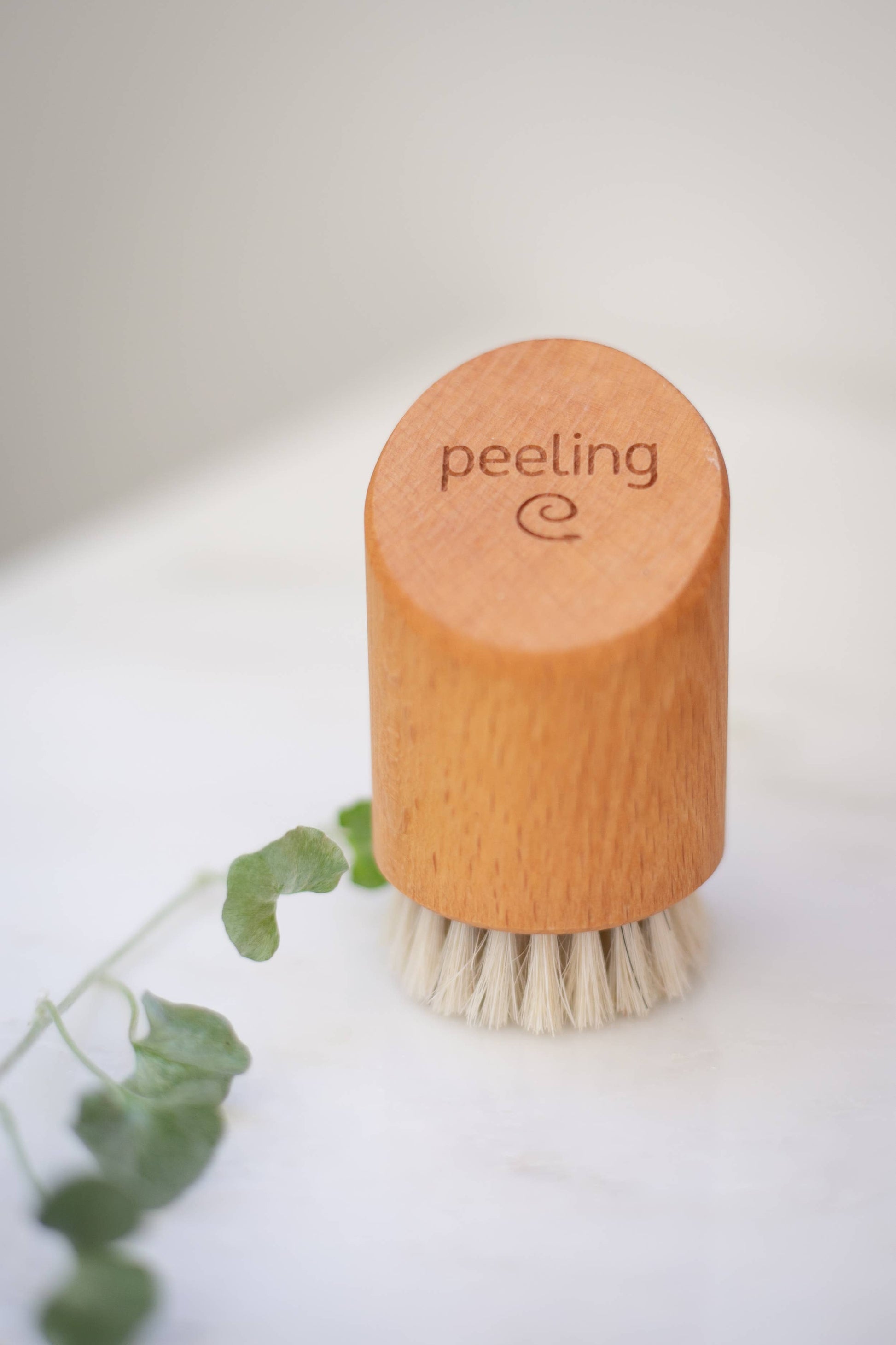 Eine Croll & Denecke Gesichtsbürste aus Holz für Peeling & Massage mit Rosshaarborsten und "Peeling"-Gravur liegt auf weißem Untergrund neben einem grünen Blatt.