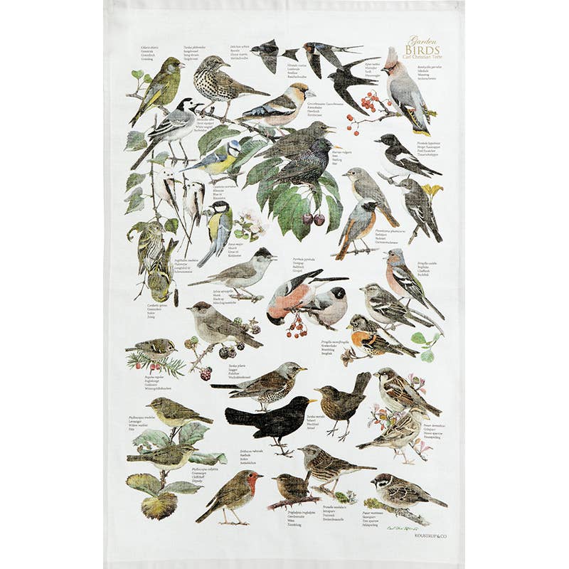 Illustrierte Darstellung verschiedener britischer Gartenvögel wie Rotkehlchen, Star, Distelfink und Blaumeise, die jeweils auf Zweigen oder in der Nähe von Pflanzen sitzen und mit Namensschildern versehen sind. Das charmante Design des Koustrupco | Küchentuchs mit Gartenvögeln aus 100 % Bio-Baumwolle bringt einen Hauch von Natur in Ihre Küche und ist gleichzeitig umweltfreundlich – perfekt für alle, die Wert auf Nachhaltigkeit legen.