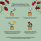 Entdecke das Anzuchtset „Schokoblumen aus dem Becher“ von TDJ Stadtgärtner GmbH: Die beiliegende Pflanzanleitung erklärt in vier Schritten mit passenden Illustrationen, wie du die Quelltablette wässerst, die Samen aussäst, alles feucht hältst und schließlich das Pflänzchen umtopfst. Rote Blüten und dekorative Pflanzen schmücken das Set – eine wunderbare Geschenkidee für Pflanzenfreunde, die ihre eigenen Schokoladenblumen selbst ziehen möchten.