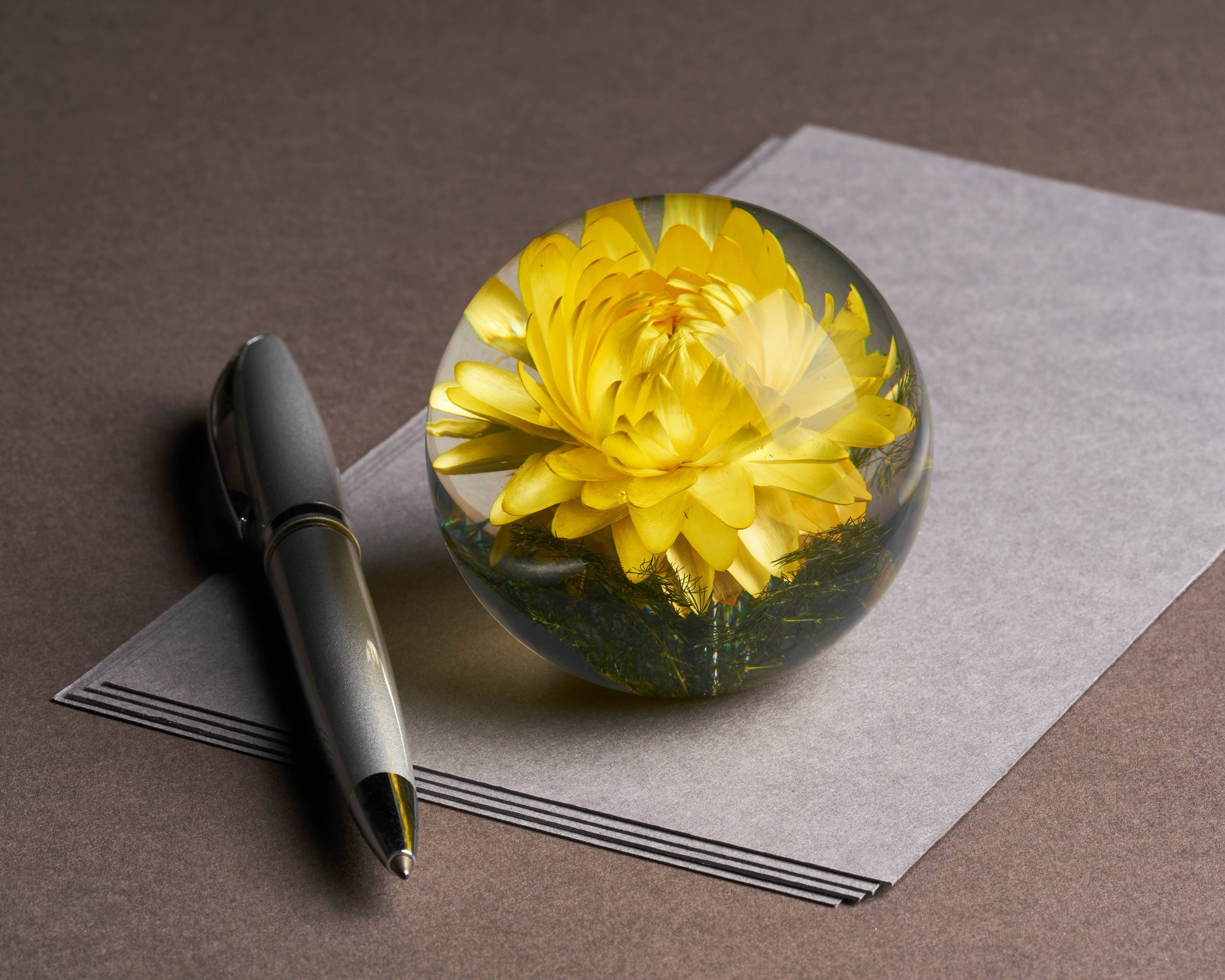 Ein silberner Stift und der Hafod Grange Briefbeschwerer mit Gelber Helichrysum ruhen auf grauem Papier auf einer braunen Oberfläche - das ideale Geschenk für Blumenliebhaber.